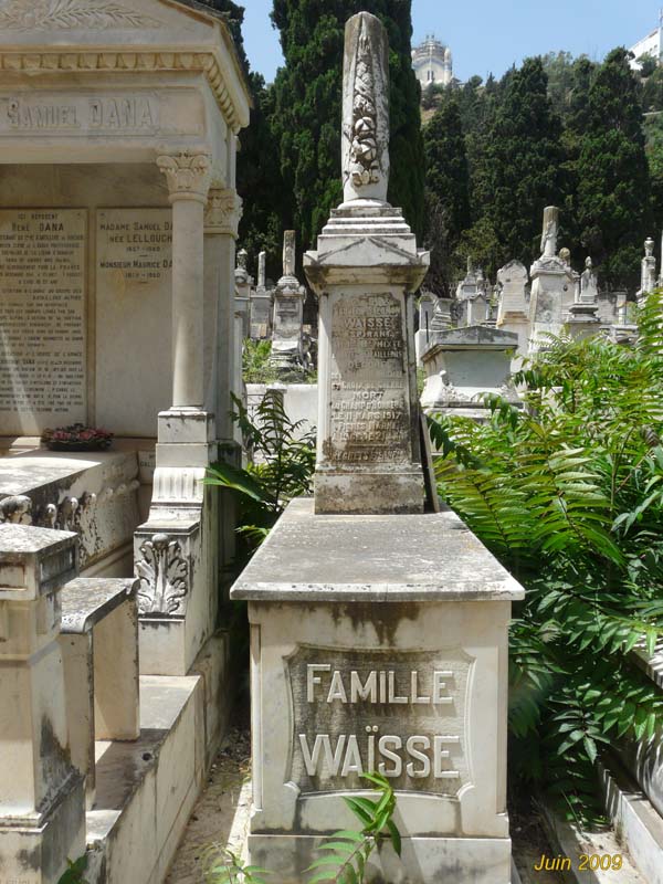 Stèle de VAISSE Haïm Sauveur Salom
